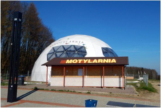 Motylarnia